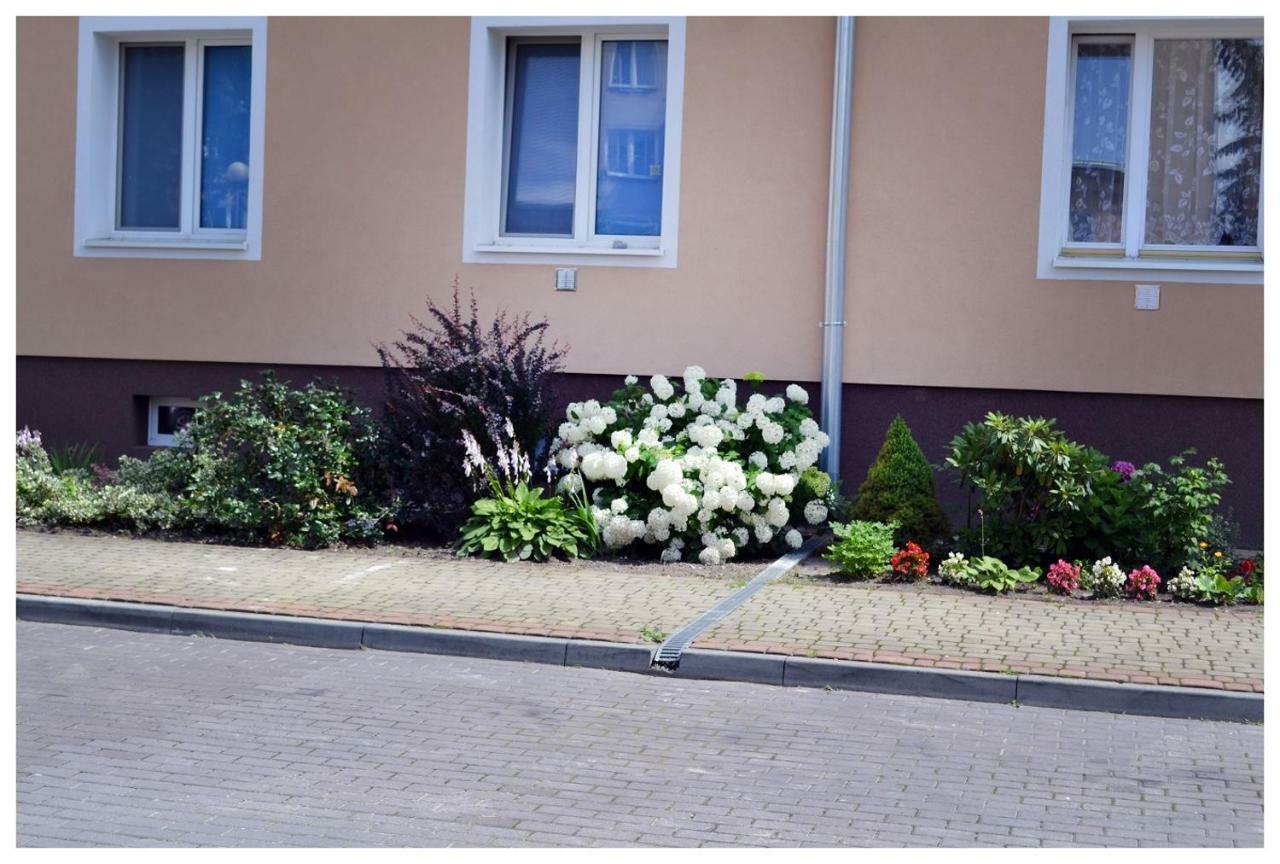 Color24 Apartament Stalowa Wola Ngoại thất bức ảnh